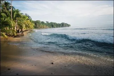 Vous êtes perdus sur une île déserte, quel objet aimeriez-vous trouver en creusant dans le sable ?