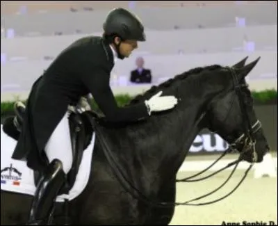 Dans quelle discipline l'oldenbourg excelle-t-il ?