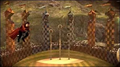 Si tu pouvais jouer au Quidditch, quel poste occuperais-tu ?