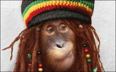 En quel chanteur ce singe a-t-il voulu se déguiser ?