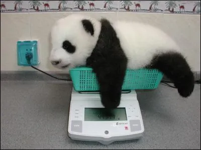 Retrouvez le titre d'une chanson !