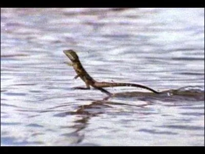 Ce personnage, dont cette photo vous donne le nom, revêt une importance capitale pour notre civilisation !