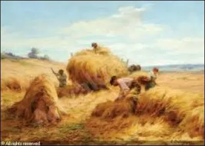 "O sole mio" est une célèbre chanson de la région de :