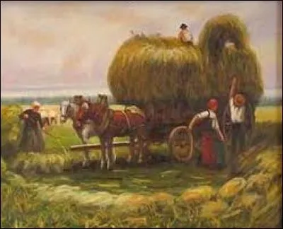 En août, nous avons rendez-vous avec les Perséides. Ce sont des :