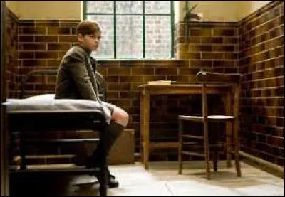 Qui étaient les parents de Voldemort ?