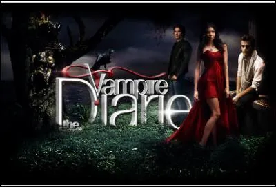 Combien y a-t-il de saisons en Amérique?