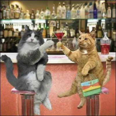 Un nouveau concept venu apparemment du Japon, que l'on peut retrouver à Paris et en province. 
À quoi vous fait penser cette photo ?