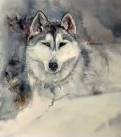 Coupeur de cheveux en quatre :