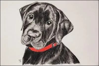 Illusion, projet irréaliste, utopie :