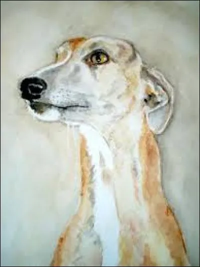 Jeu. Au tarot, nom donné au talon :