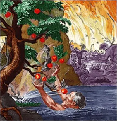 Pour avoir servi de la chair humaine aux Dieux de l'Olympe, il sera puni et affligé d'une soif et d'une faim inextinguibles. De l'eau et des fruits se trouveront près de lui mais il ne pourra les saisir. Qui est-il ?