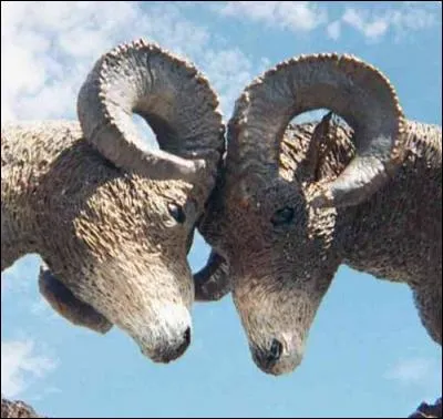 Serais-tu capable d'affronter ta plus grande peur contre une somme d'argent conséquente ?