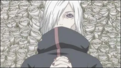 Comment est mort Nagato Uzumaki ?