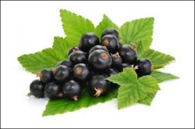 Le cassis est un fruit. C'est aussi...