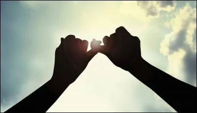 "Je te promets" est une chanson de...