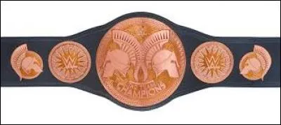 Quelle est la Tag Team au règne le plus long ?