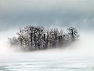 Comment penses-tu aux Rêves ?