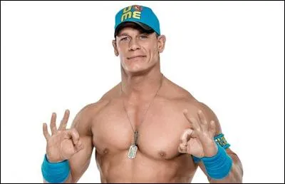 Lequel de ces thèmes n'a jamais été vu pour le moment dans ce jeu ?