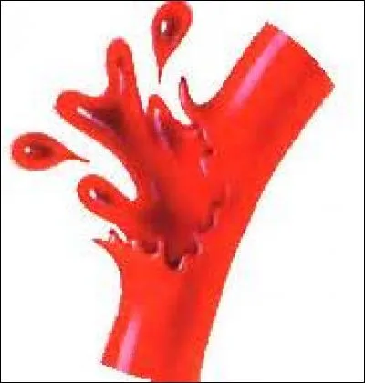 Aristide Aubert du Petit-Thouars fut blessé gravement contre les Anglais. Combien de jambes a-t-il perdues ?