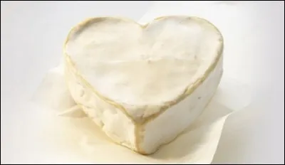 D'où viennent les deux appellations possibles de ce fromage ?