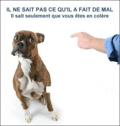 Un de tes amis se fait gronder pour une bêtise que tu as faite :