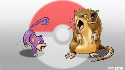 De quelle couleur Rattata est-il ?
