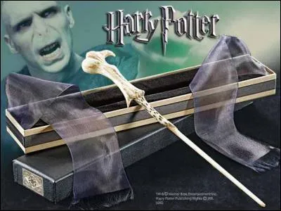 Qu'aimerais-tu avoir dans ta baguette magique ?