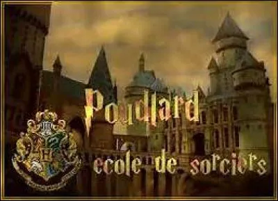 Que préfères-tu faire ?