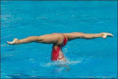 Quelle est cette figure ?