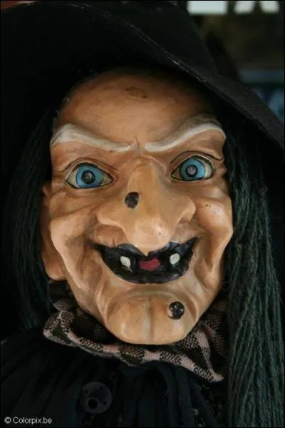 Dans quelle/s saga/s on trouve des sorcières ?