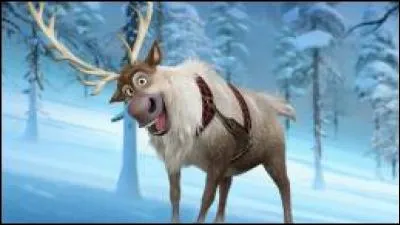 Comment s'appelle son fidèle compagnon qui tire le traîneau ?