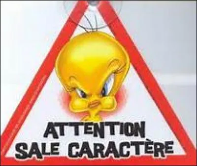 Lequel de ces traits de caractère te correspond le plus ?