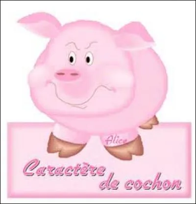 Pourquoi es-tu sur Quizz.biz ?