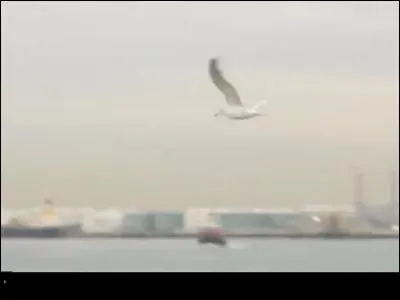 À ton avis, quel est le titre de ce clip ?