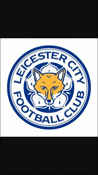 Quel joueur a été élu meilleur joueur de ce championnat ?