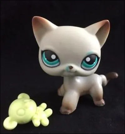 Quelle est cette race de chats ?