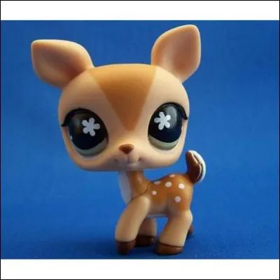 Oh...c'est mignon...c'est :