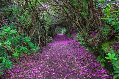 C'est un ensemble de sens !