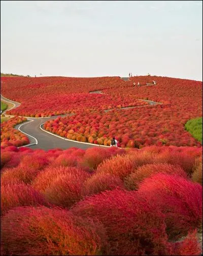 Il est Maitre de ses actes !