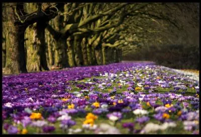 Il est faux, au bar !