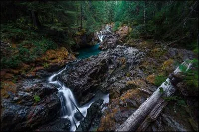 Maîtresse, mais traitée comme du bétail !