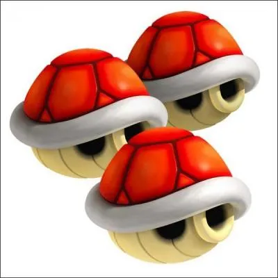 Quel est cet objet ?