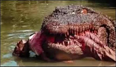 Quel pharaon prononça la peine exceptionnelle du supplice par le crocodile ?