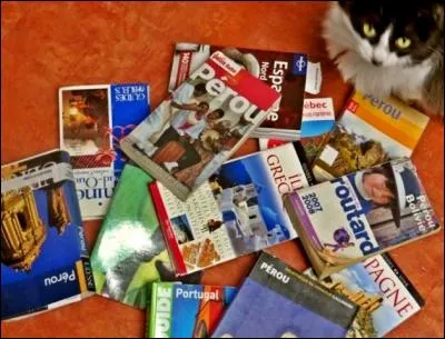 En g&eacute;n&eacute;ral, vous organisez votre voyage :