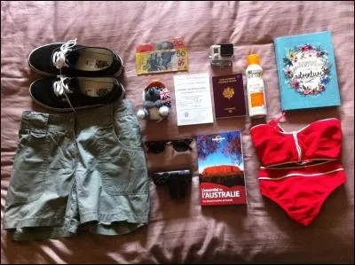 Vos affaires de vacances sont :