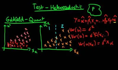 Le test de Goldfeld et Quandt est un test statistique et économétrique afin de déterminer si les coefficients de deux séries linéaires sont égaux.