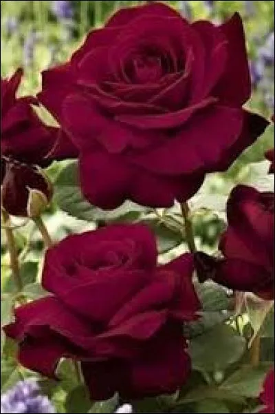 Exprime le dédain, l'indifférence :