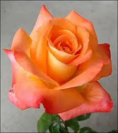 Participe passé du verbe "ouïr" :