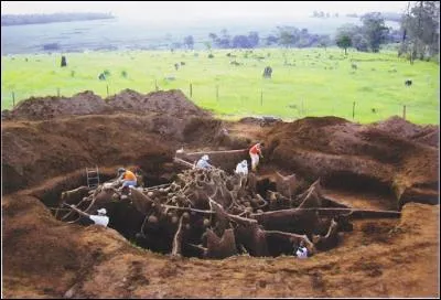 Que représente la photo ?
