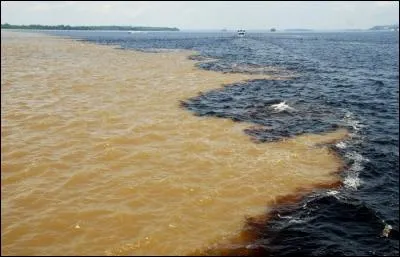 Le Rio Negro et le Rio Solimões se rencontrent à Manaus au...